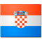 Hanžić/Šapina flag