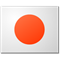 Chiyo/Sakaguchi flag